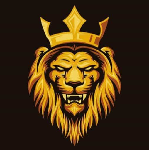 lions_gaming Streamer on Loco