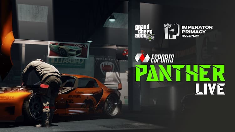 pantherstormyt GTA 5 08-12-2022 Loco Live Stream